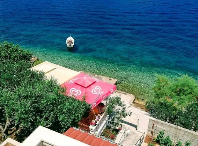 Natasa Trogir